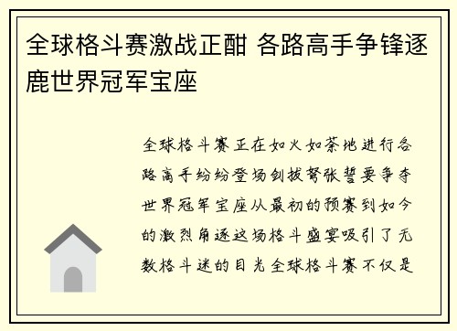 全球格斗赛激战正酣 各路高手争锋逐鹿世界冠军宝座